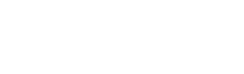 Veridion Group
