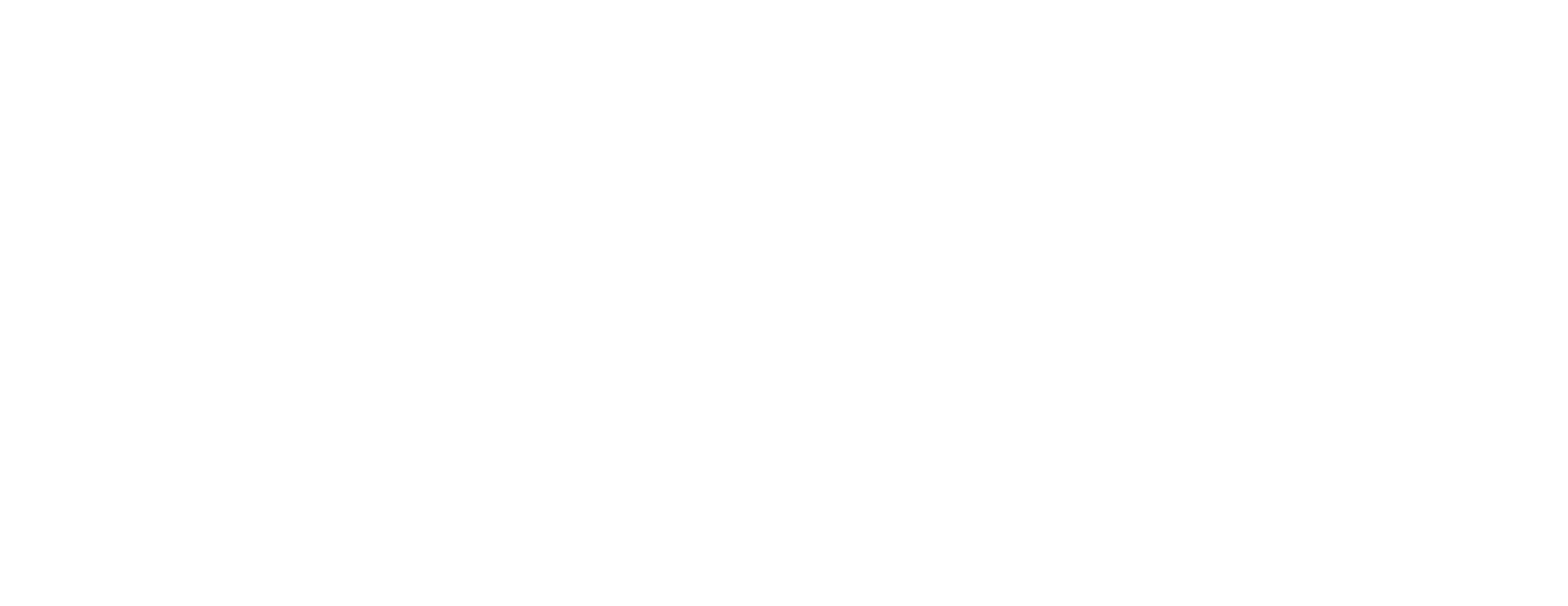 Veridion Group